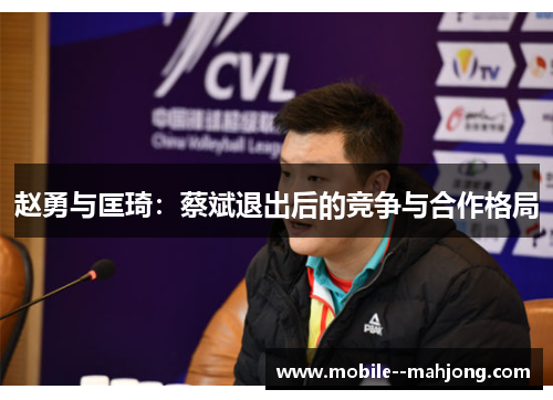 赵勇与匡琦：蔡斌退出后的竞争与合作格局