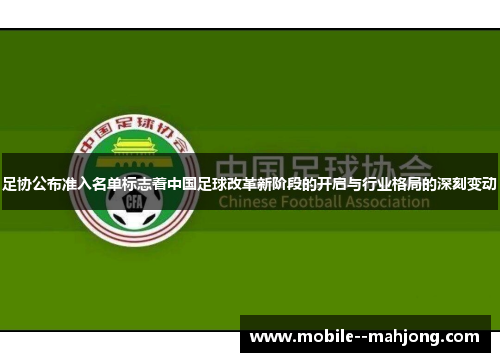 足协公布准入名单标志着中国足球改革新阶段的开启与行业格局的深刻变动