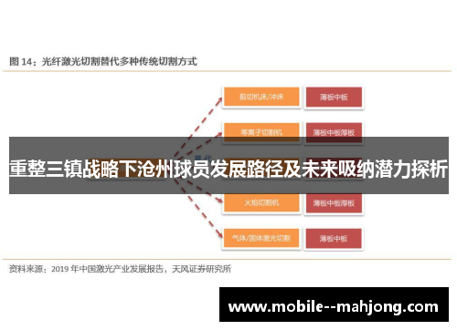 重整三镇战略下沧州球员发展路径及未来吸纳潜力探析 重整三镇战略下沧州球员发展路径及未来吸纳潜力探析