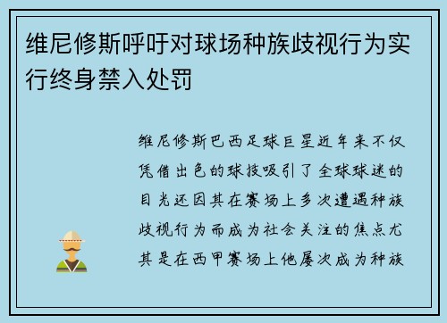 维尼修斯呼吁对球场种族歧视行为实行终身禁入处罚