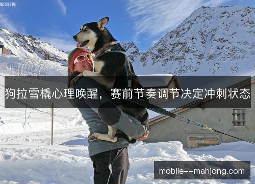 狗拉雪橇心理唤醒，赛前节奏调节决定冲刺状态